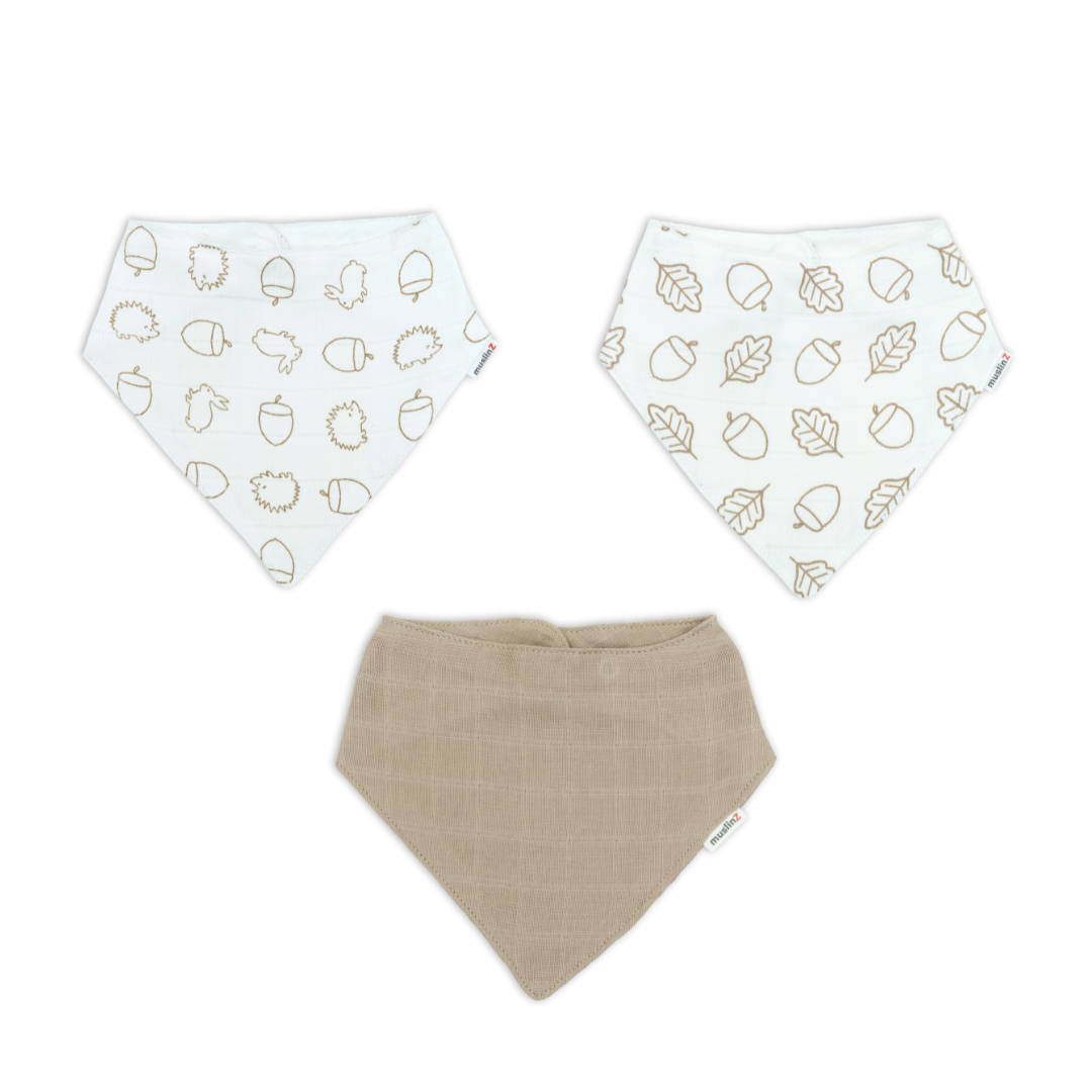 The Muslin and Bib Set