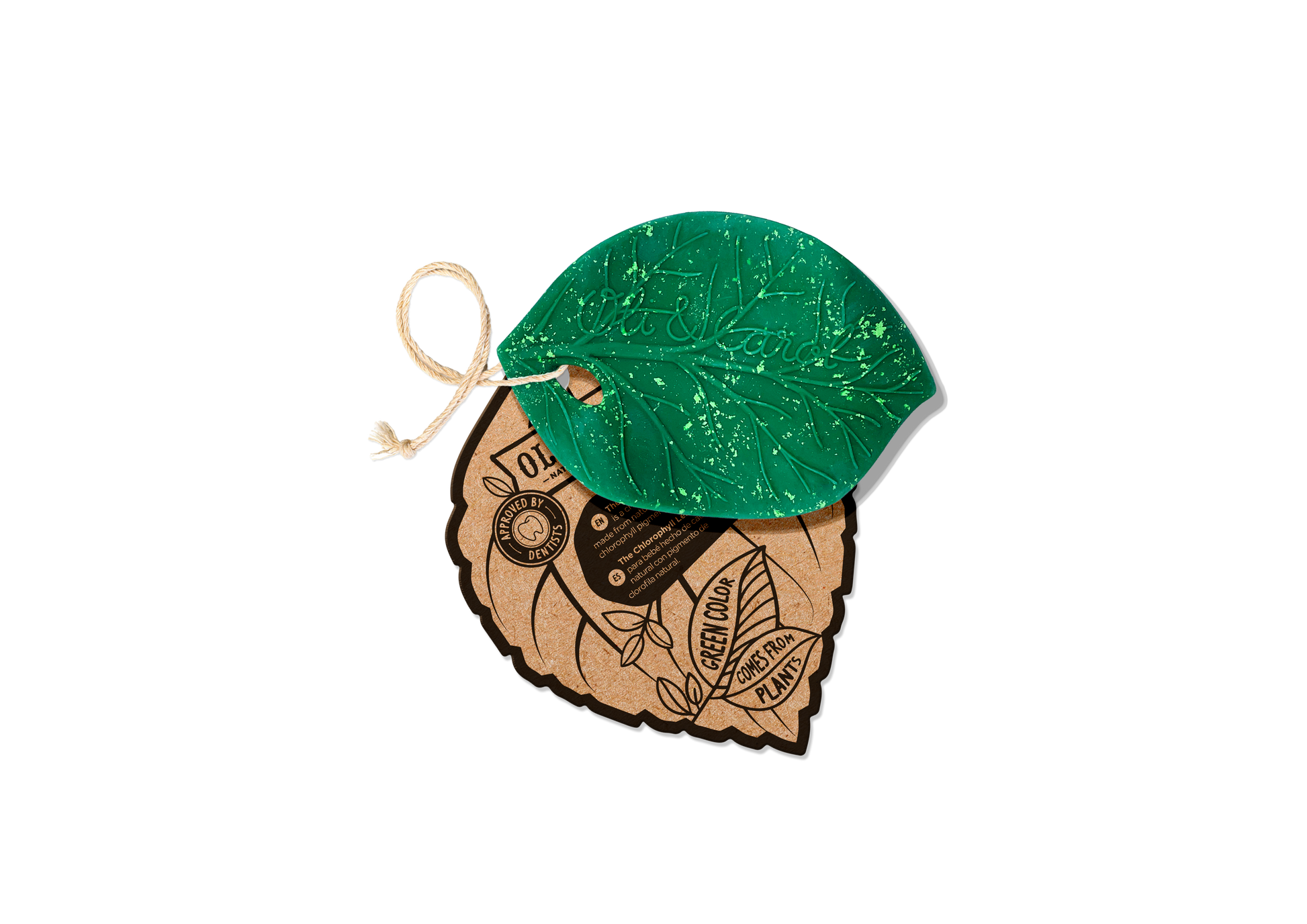 Chlorophyll leaf natural rubber teether for babies by Oli & Carol